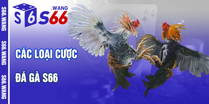 Các Loại Cược Đá Gà Tại S66