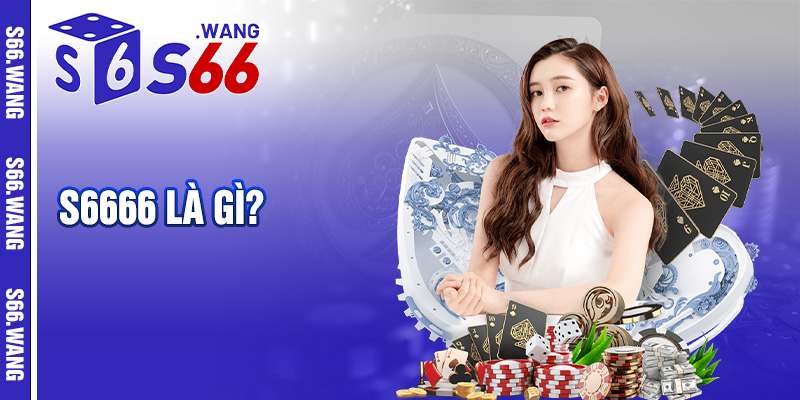 S66 là gì?